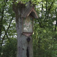 copyright Jörg Steinhoff